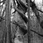 DDDC46B6-768A-4013-A056-21B385CA3716